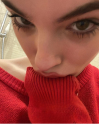 Screenshot_20240216-164545.png