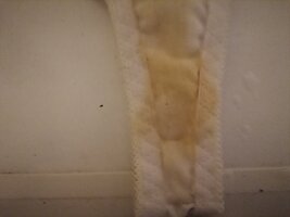 IMG_20220808_054409.jpg