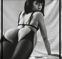 IMG_2491.jpeg