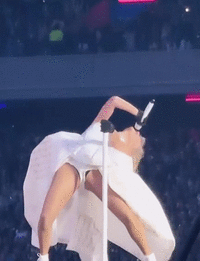 TS01 (1).gif