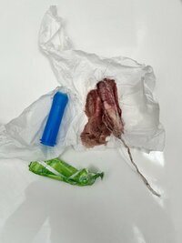 IMG_1123.jpeg