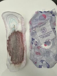 IMG_1199.jpeg