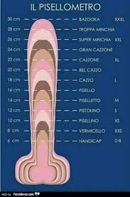download (13).jpeg