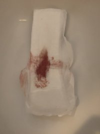 IMG_5668.jpeg