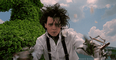 giphy.gif