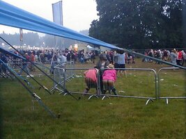 (18).jpg