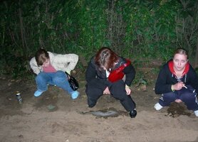 (2).jpg
