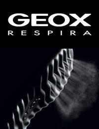 copertina_geox-ai.jpg