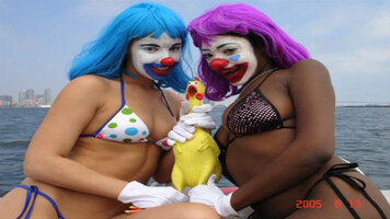 IT (z.2) (20.1) (1.1) (3.1) (3).jpg