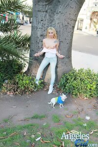 angeles_cid_flashing_010.jpg