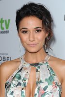 emmanuelle chriqui al gala 08.jpg