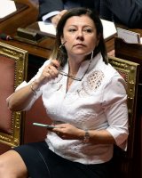 paola-de-micheli-al-senato-1209310.jpg
