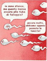 Spermini (1).jpg