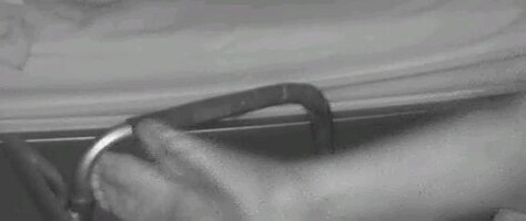 1661032451172.jpg
