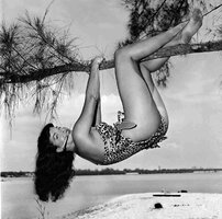 8-Bettie-Page-Hanging-from-Tree-Web.jpg