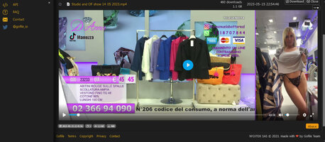 screenshot-gofile.io-2023.05.16-01_10_31.jpg