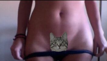 gatto2.jpg