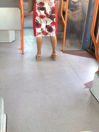 N95936.jpg
