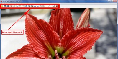 irfanview-4.jpg